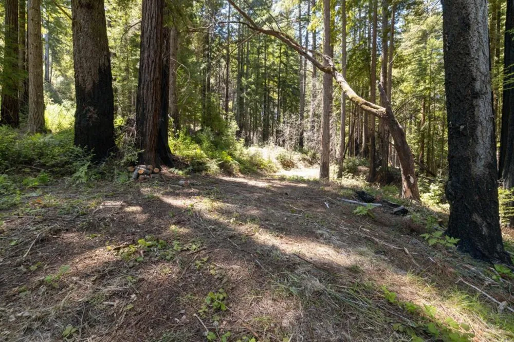Branson Boulder Creek, CA 95006