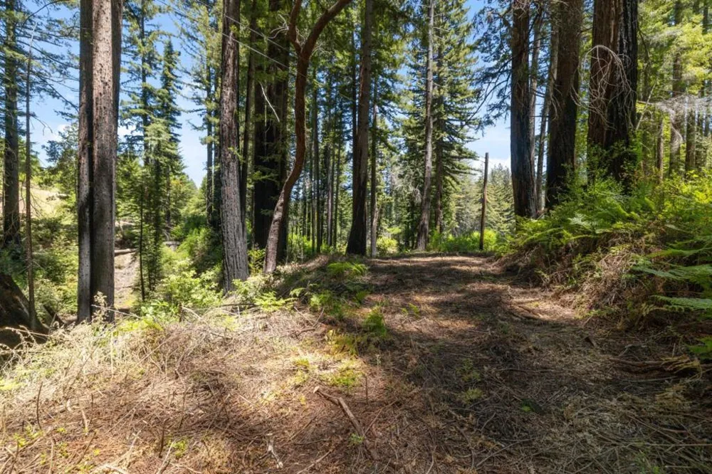 Branson Boulder Creek, CA 95006