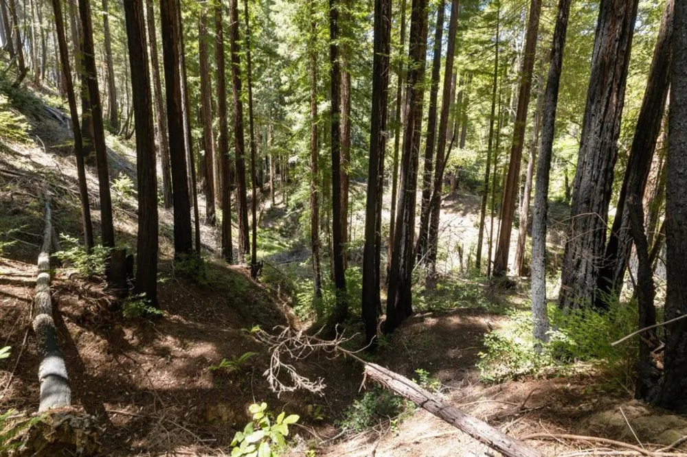 Branson Boulder Creek, CA 95006