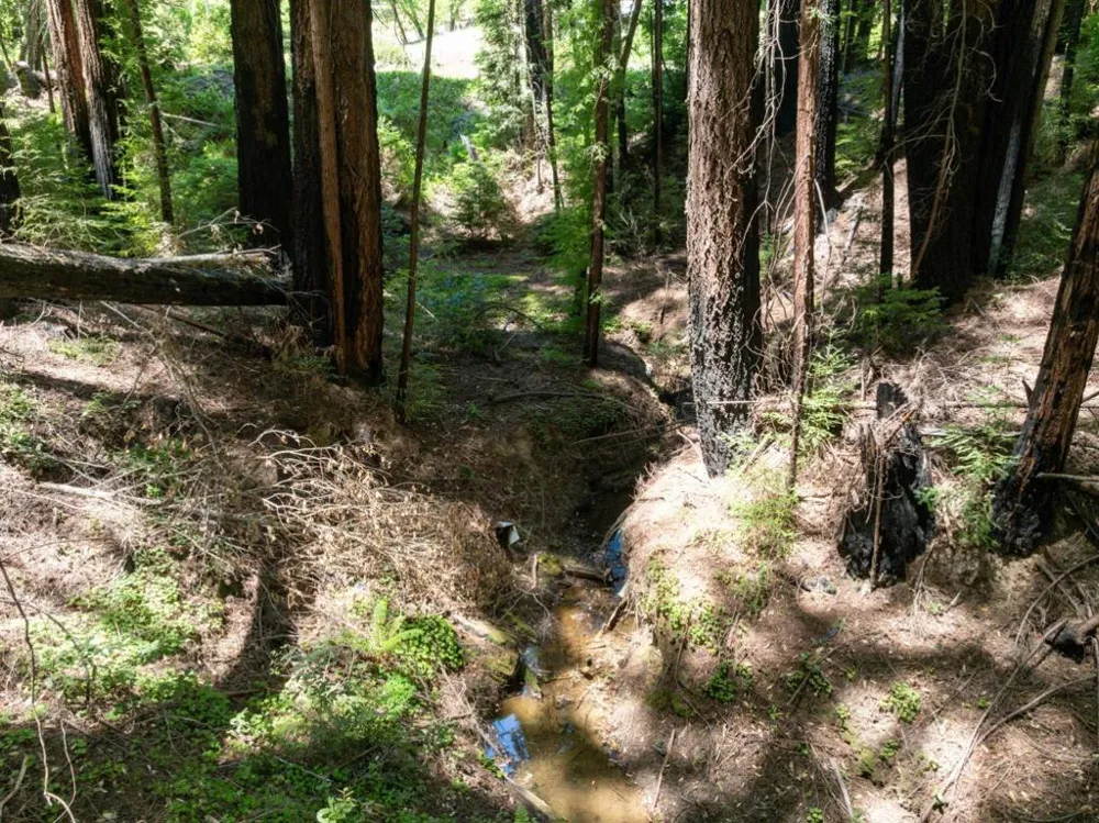 Branson Boulder Creek, CA 95006