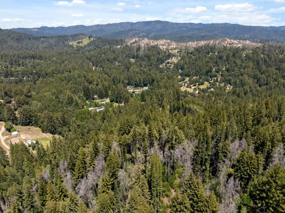 Branson Boulder Creek, CA 95006