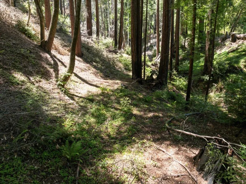 Branson Boulder Creek, CA 95006