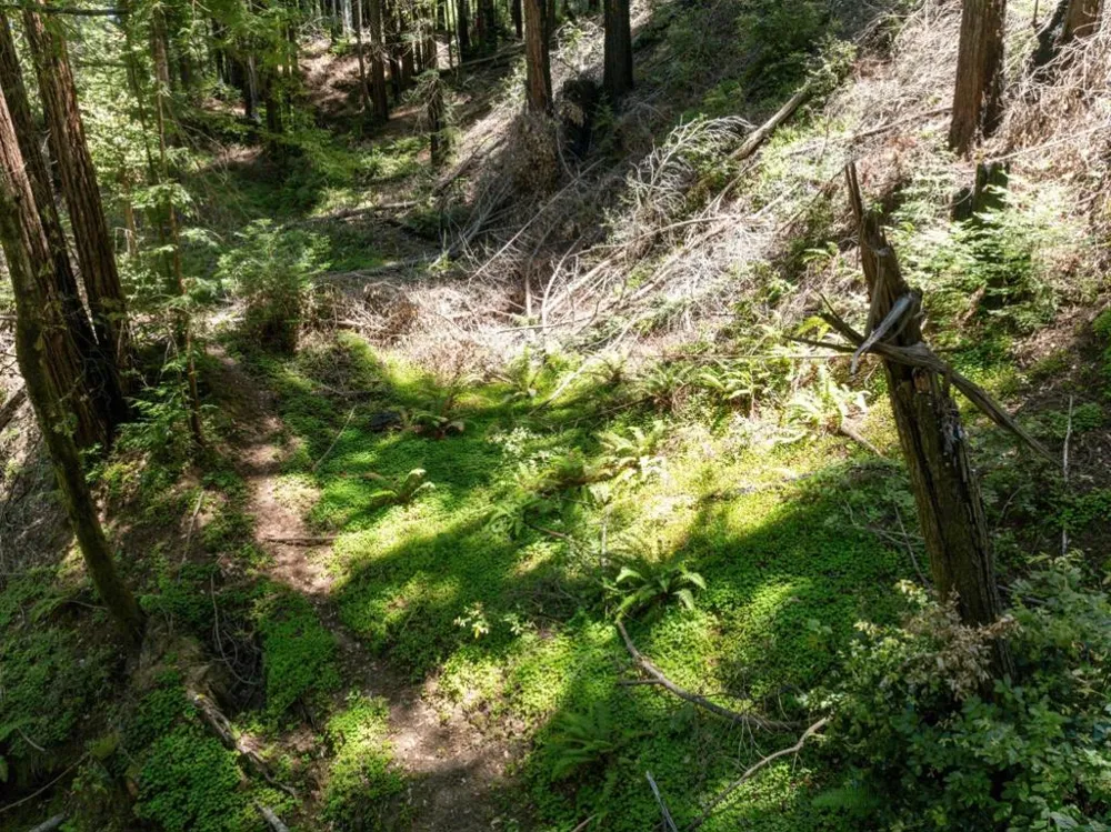 Branson Boulder Creek, CA 95006