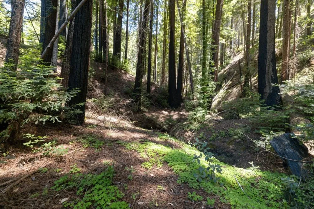 Branson Boulder Creek, CA 95006