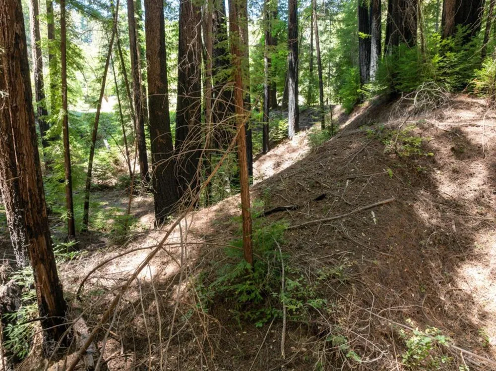 Branson Boulder Creek, CA 95006