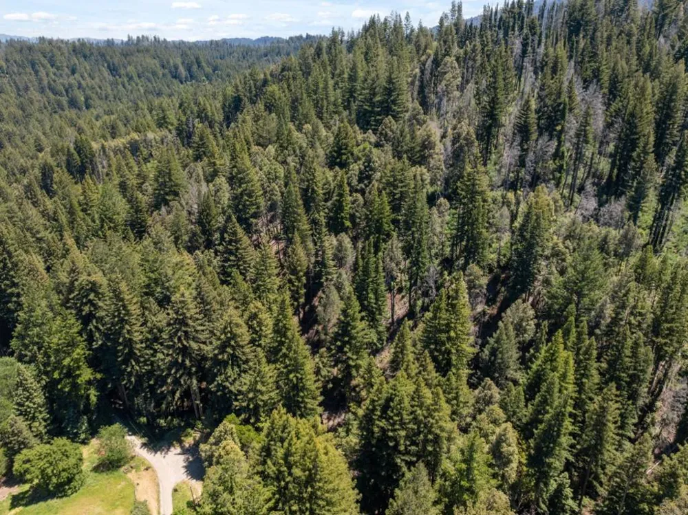 Branson Boulder Creek, CA 95006