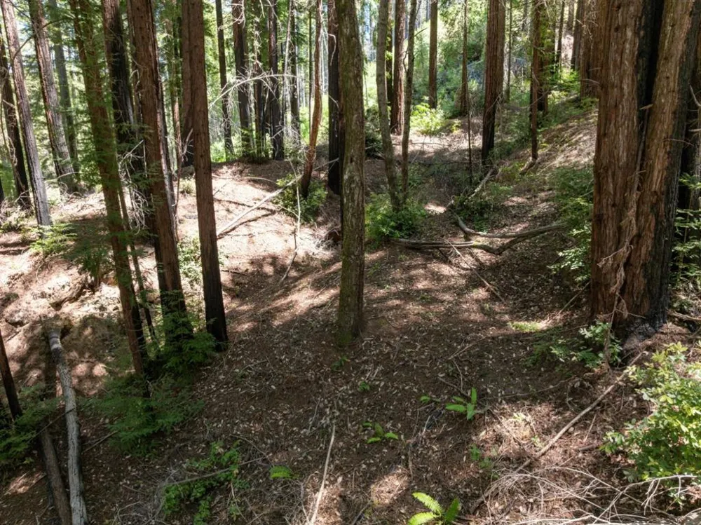 Branson Boulder Creek, CA 95006