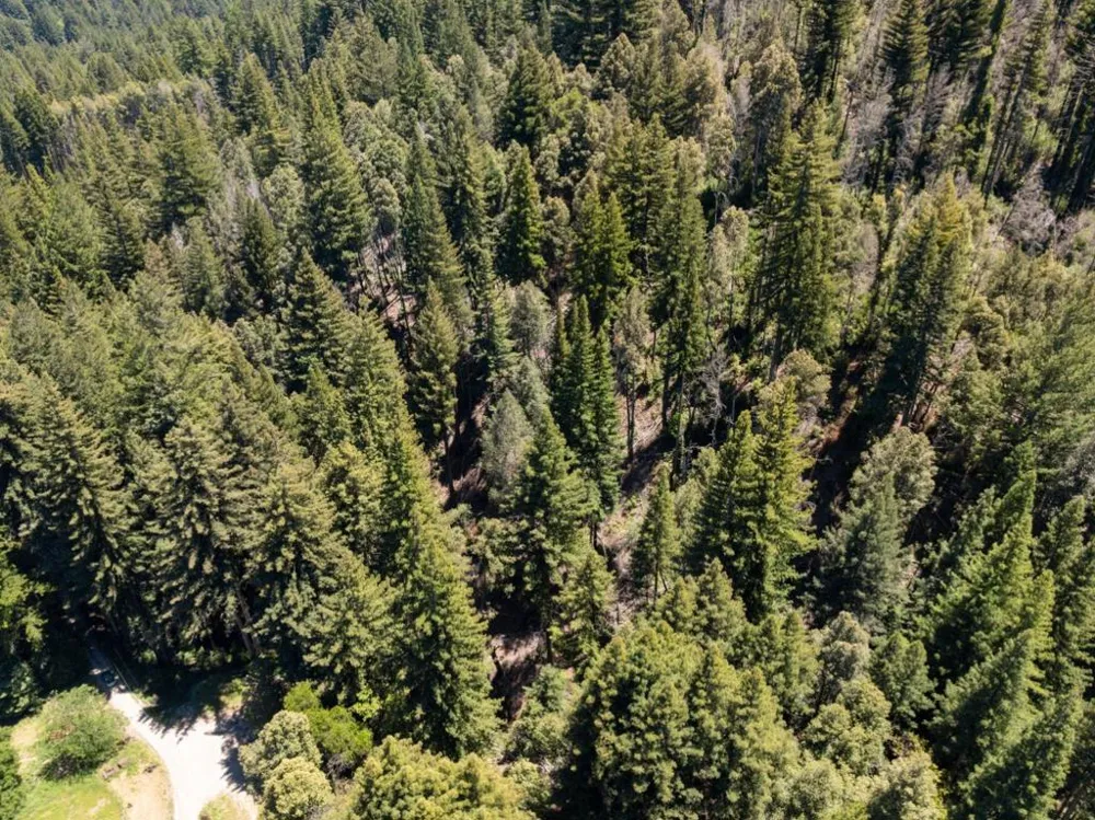 Branson Boulder Creek, CA 95006