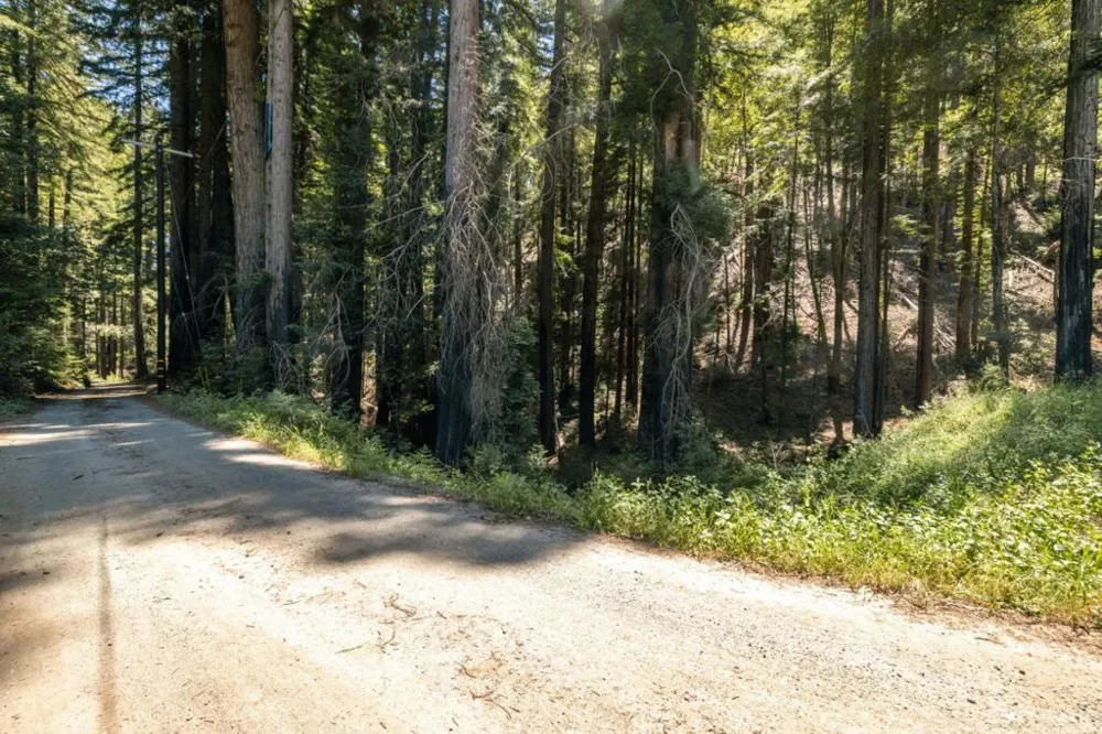 Branson Boulder Creek, CA 95006