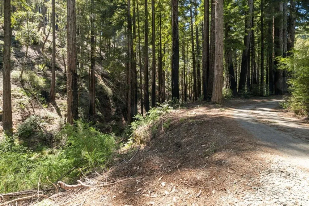 Branson Boulder Creek, CA 95006
