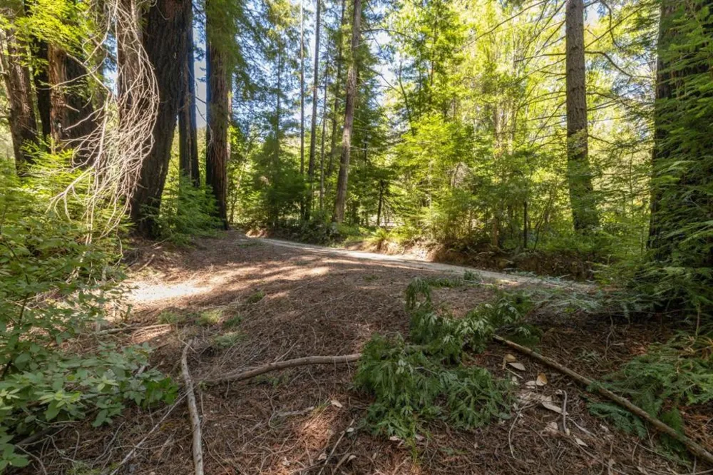 Branson Boulder Creek, CA 95006