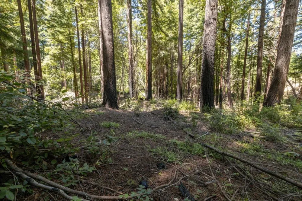 Branson Boulder Creek, CA 95006