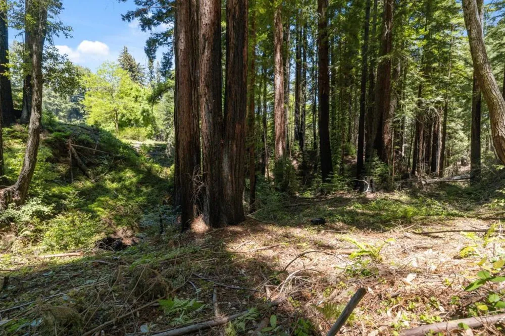 Branson Boulder Creek, CA 95006
