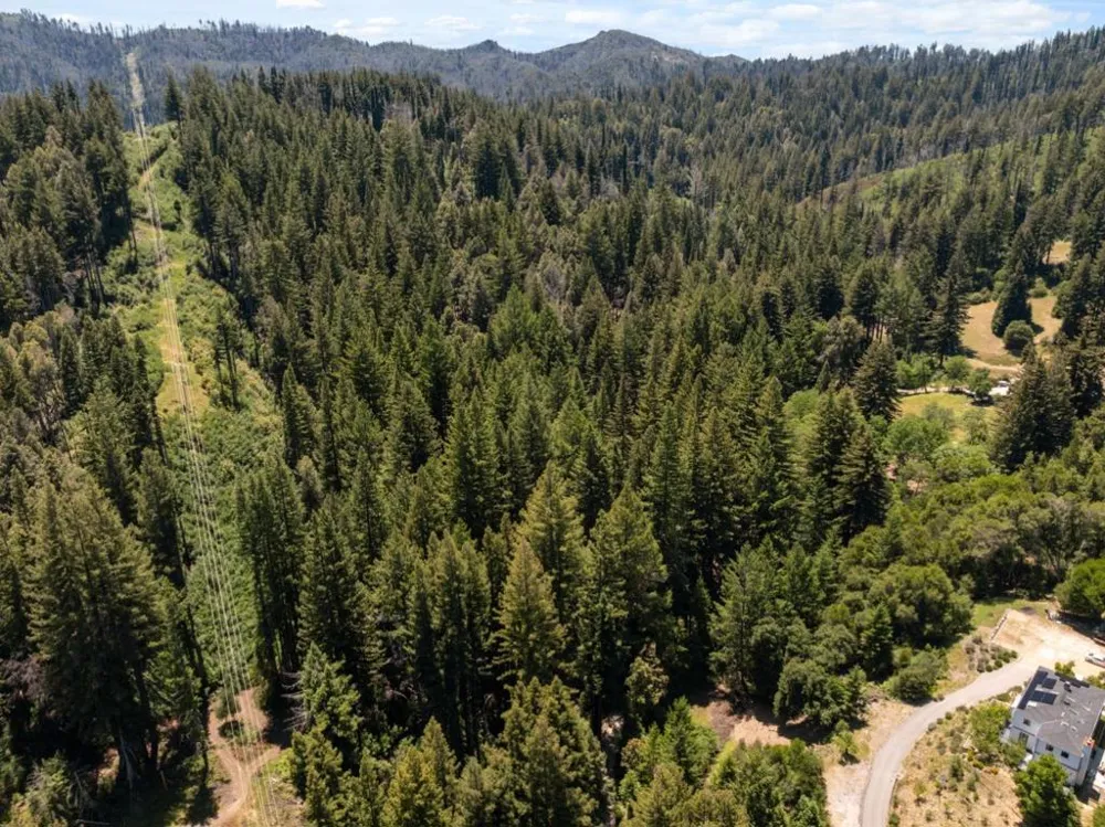 Branson Boulder Creek, CA 95006