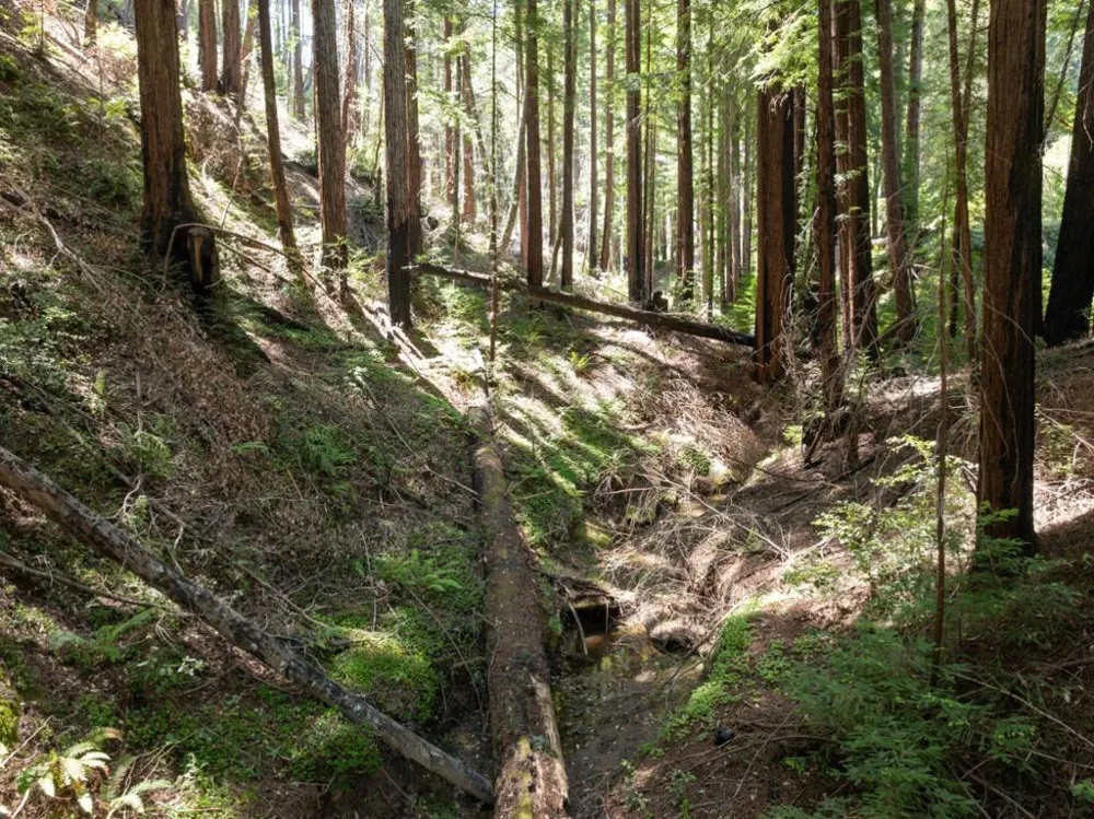 Branson Boulder Creek, CA 95006