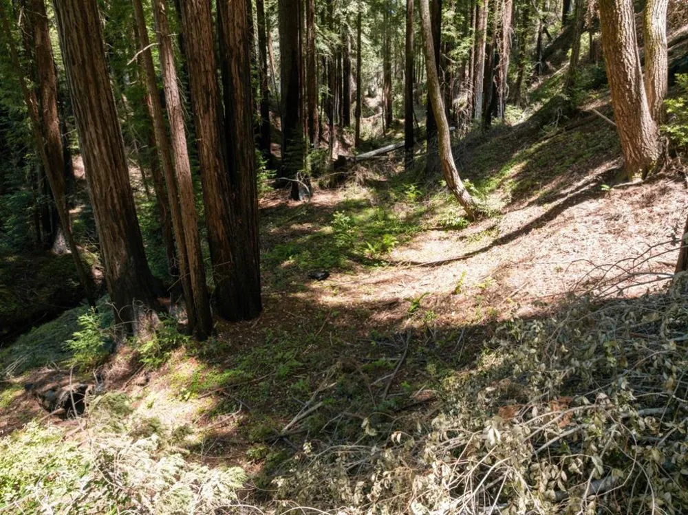 Branson Boulder Creek, CA 95006