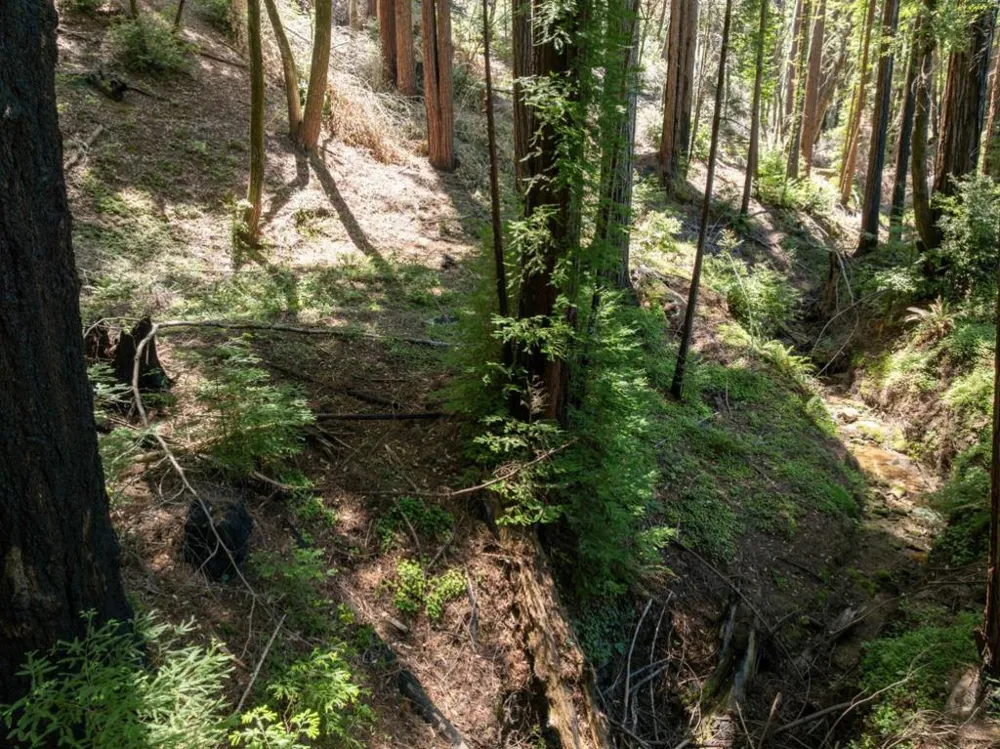Branson Boulder Creek, CA 95006