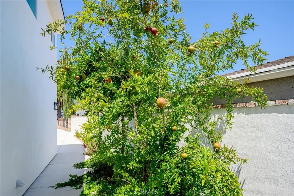8435 Rincon Avenue Sun Valley, CA 91352