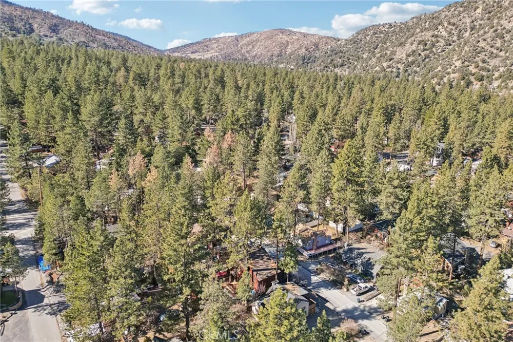 1847 Thrush Road Wrightwood, CA 92397