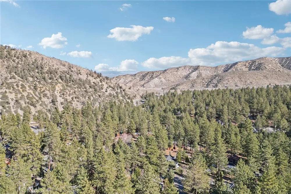 1847 Thrush Road Wrightwood, CA 92397