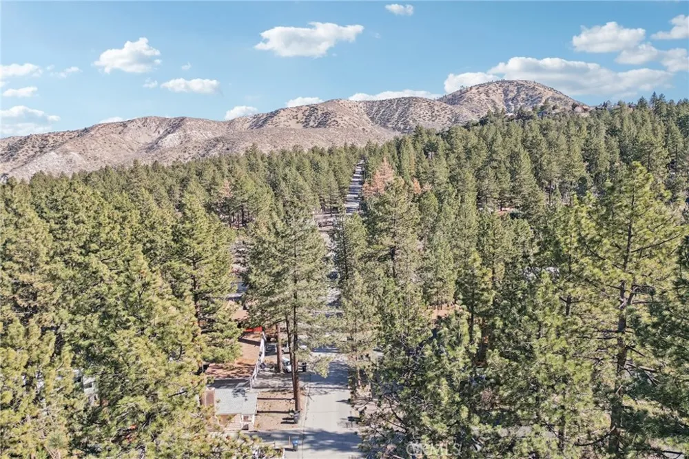 1847 Thrush Road Wrightwood, CA 92397