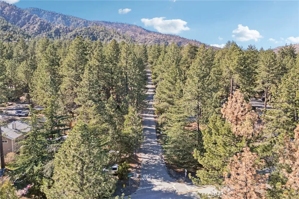 1847 Thrush Road Wrightwood, CA 92397