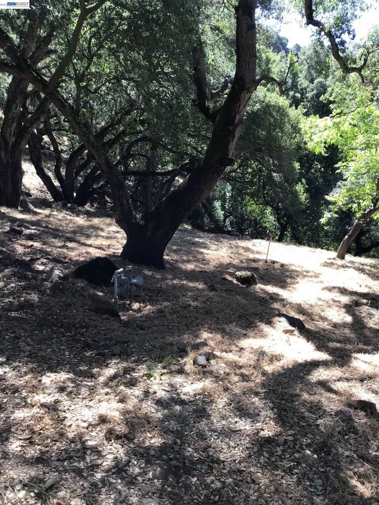 1929 Kilkare Road Sunol, CA 94586