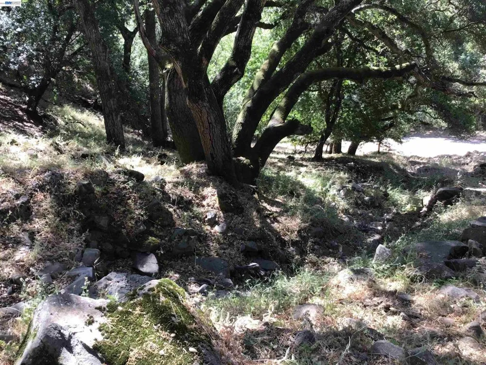 1929 Kilkare Road Sunol, CA 94586