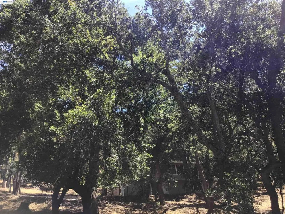 1929 Kilkare Road Sunol, CA 94586