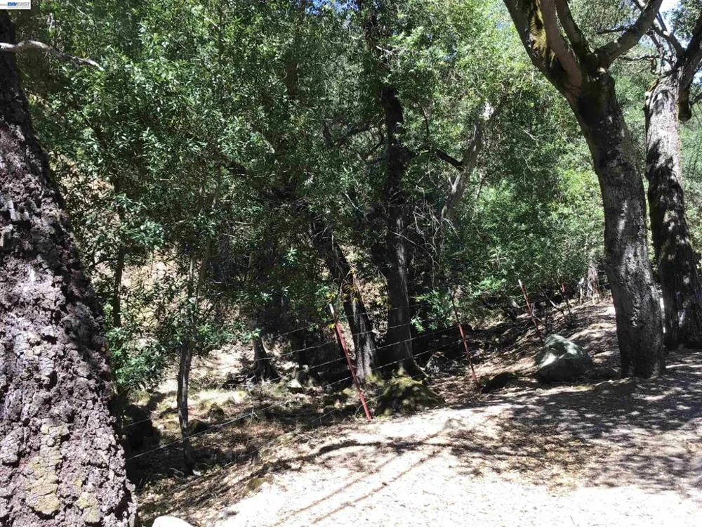 1929 Kilkare Road Sunol, CA 94586