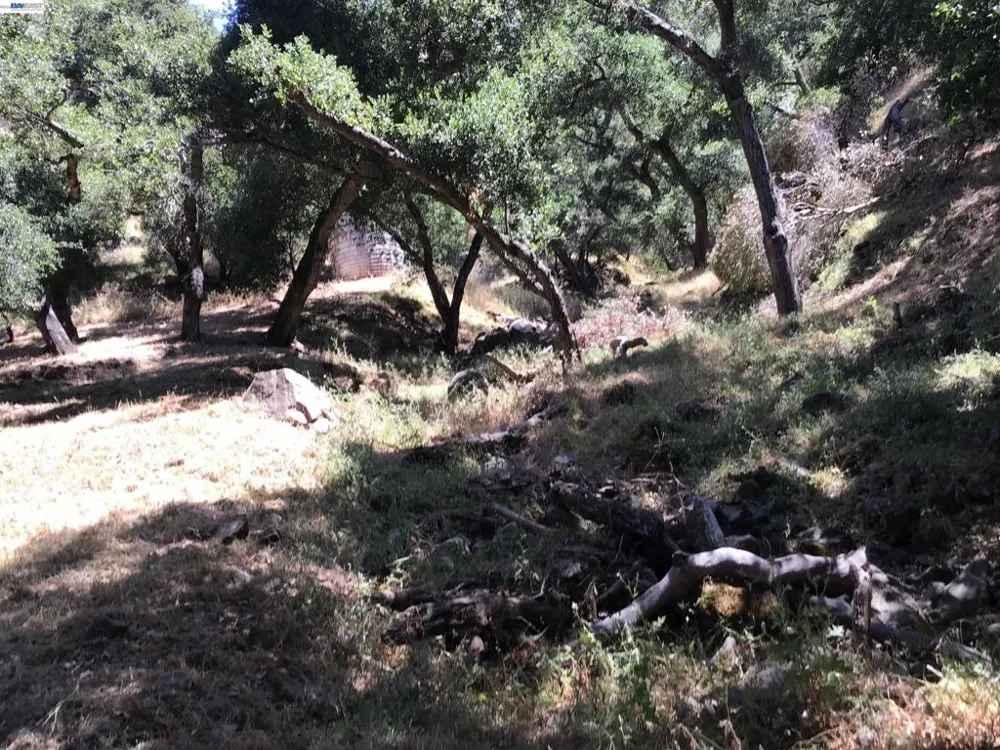 1929 Kilkare Road Sunol, CA 94586