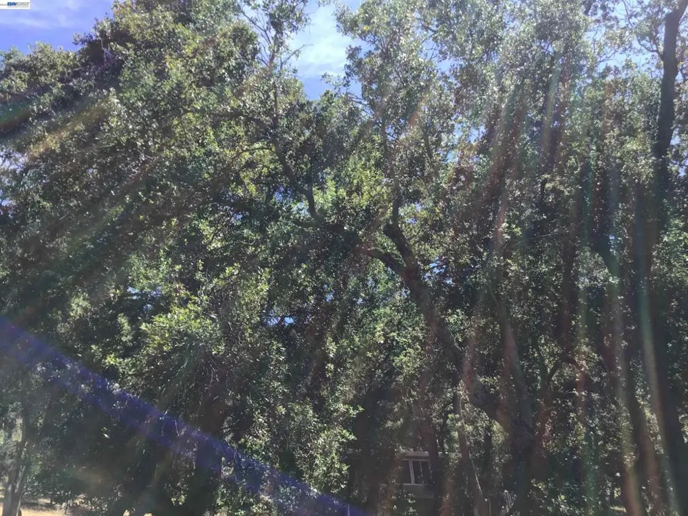 1929 Kilkare Road Sunol, CA 94586
