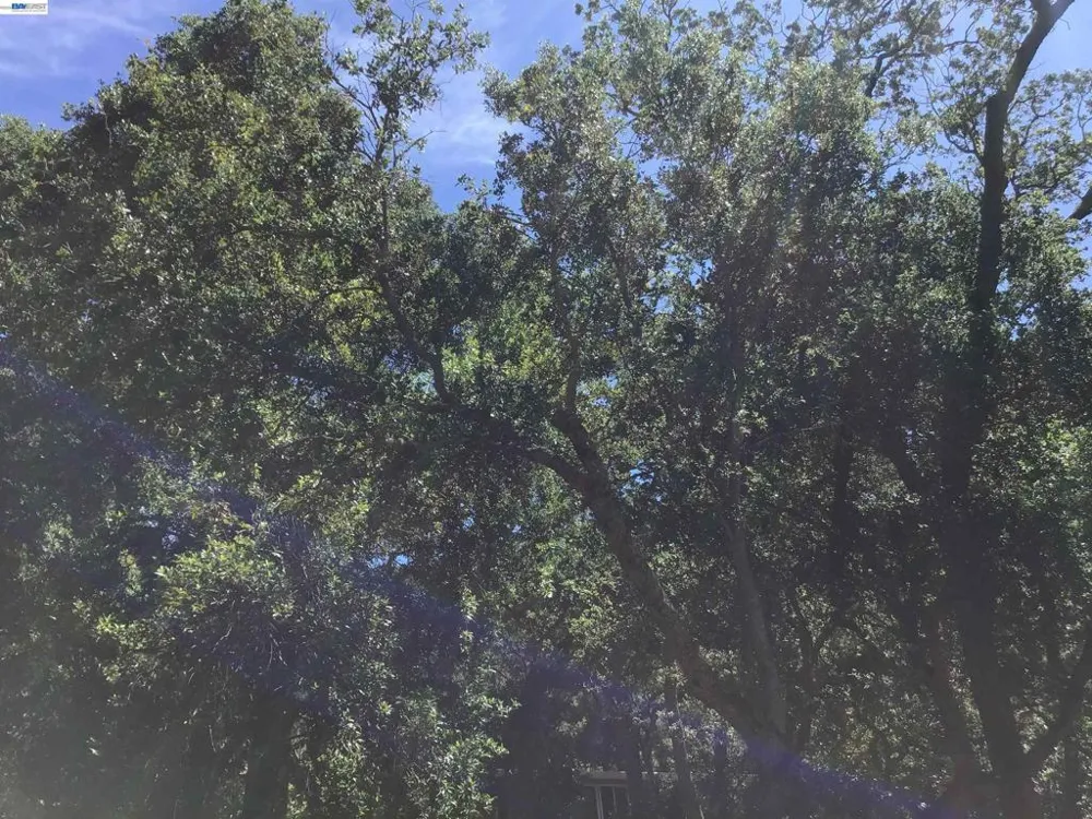 1929 Kilkare Road Sunol, CA 94586