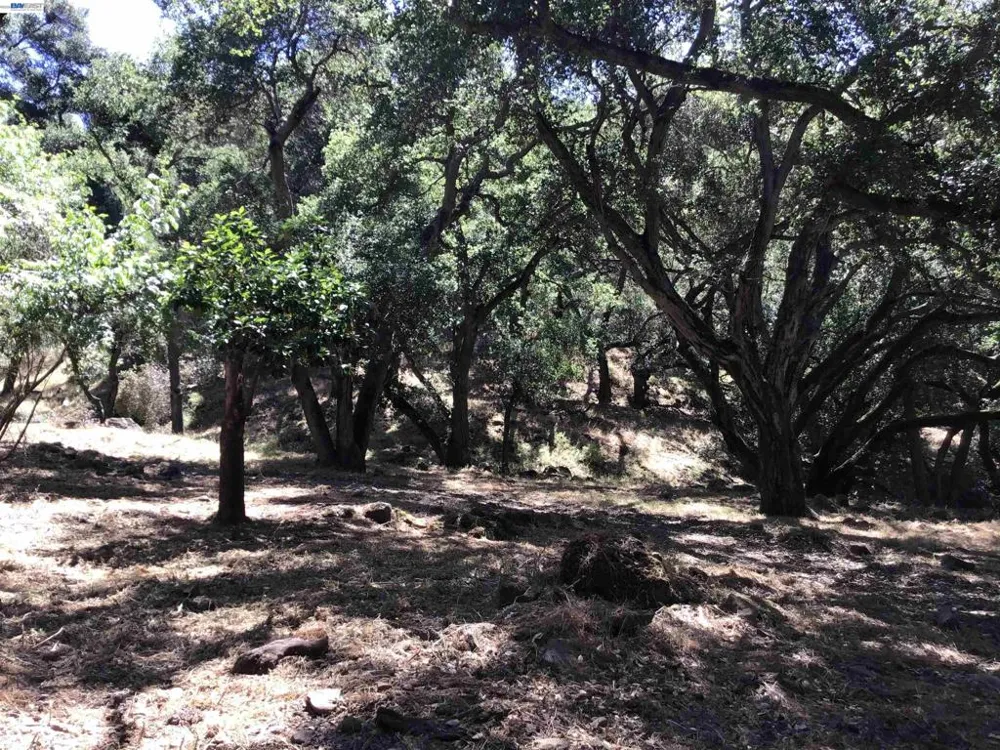 1929 Kilkare Road Sunol, CA 94586