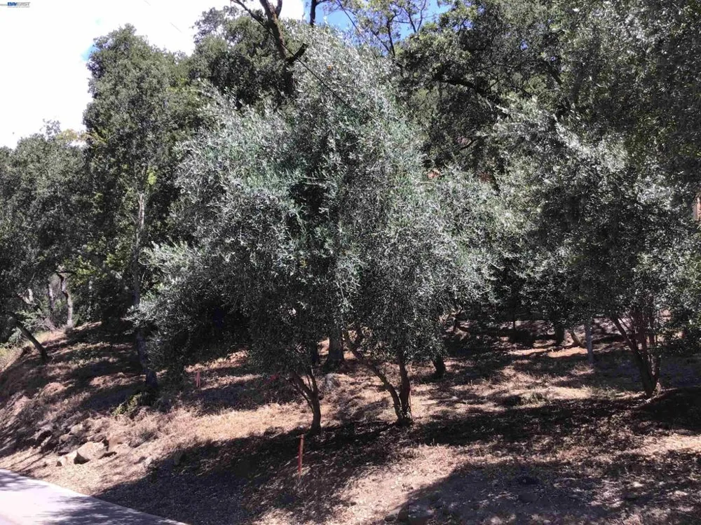 1929 Kilkare Road Sunol, CA 94586