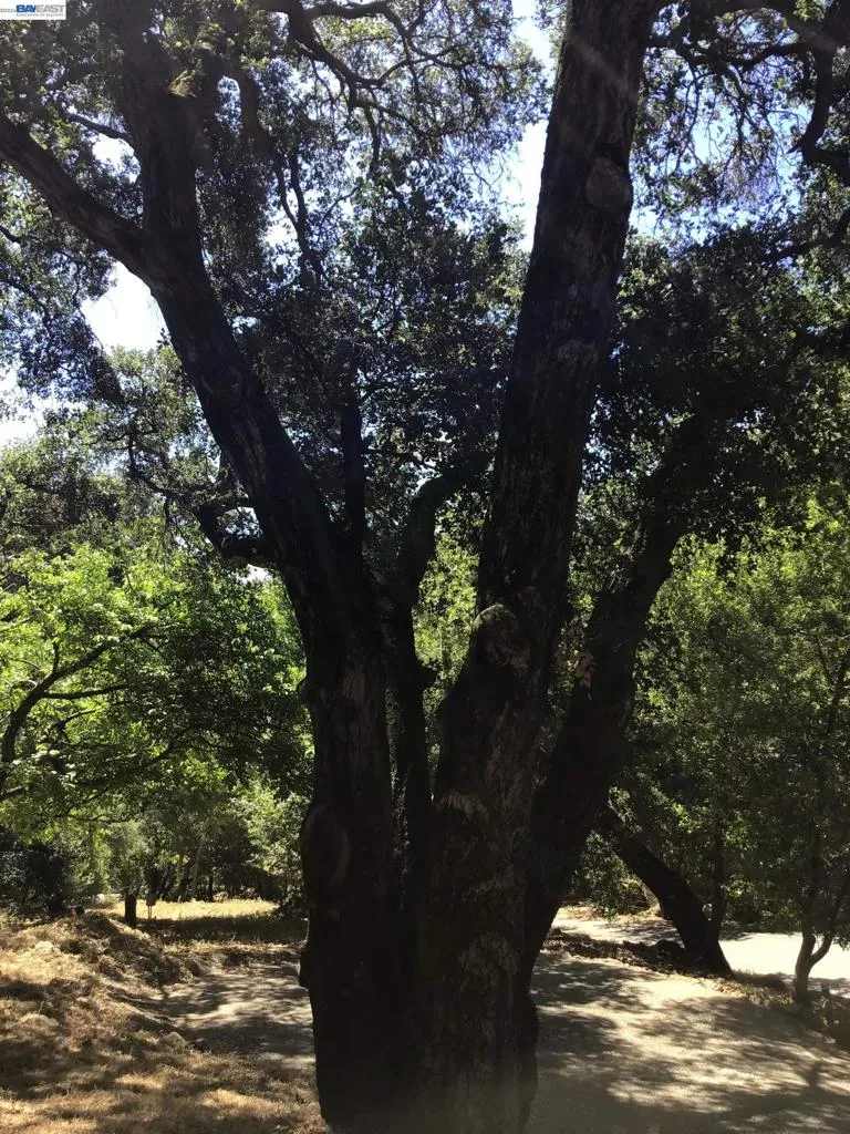 1929 Kilkare Road Sunol, CA 94586