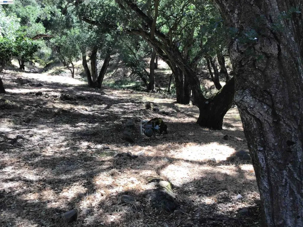 1929 Kilkare Road Sunol, CA 94586