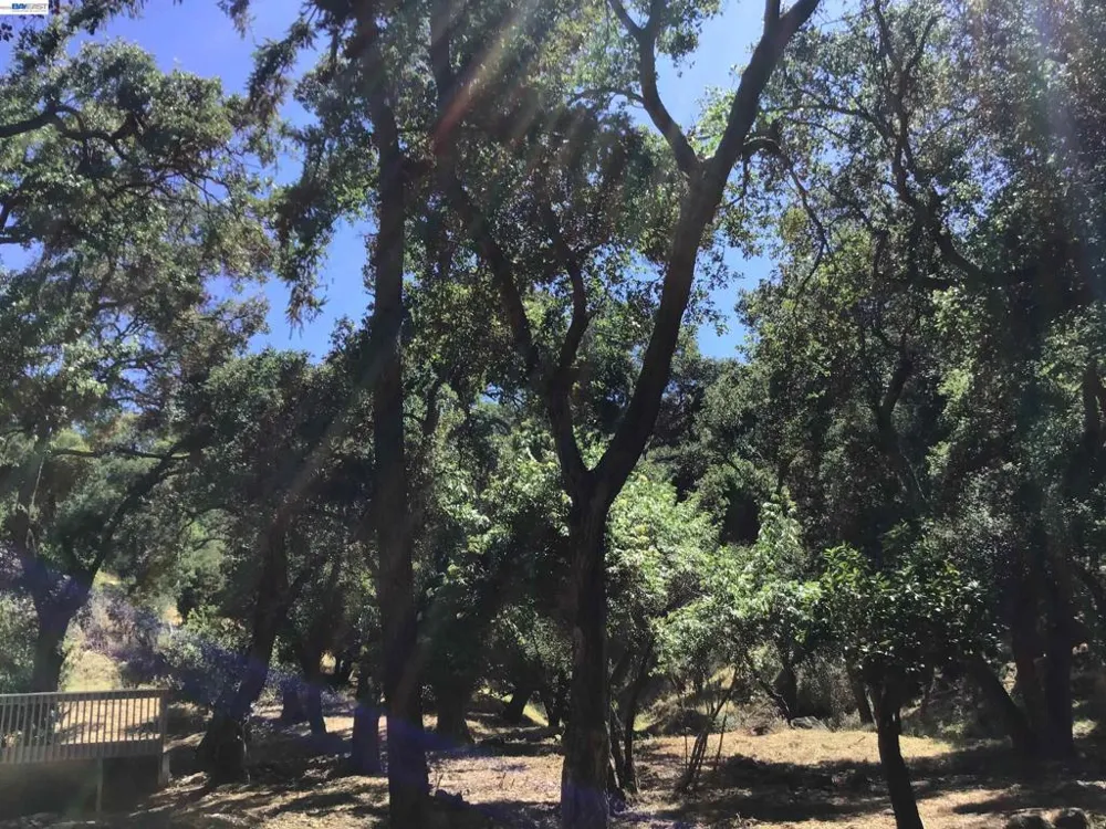 1929 Kilkare Road Sunol, CA 94586