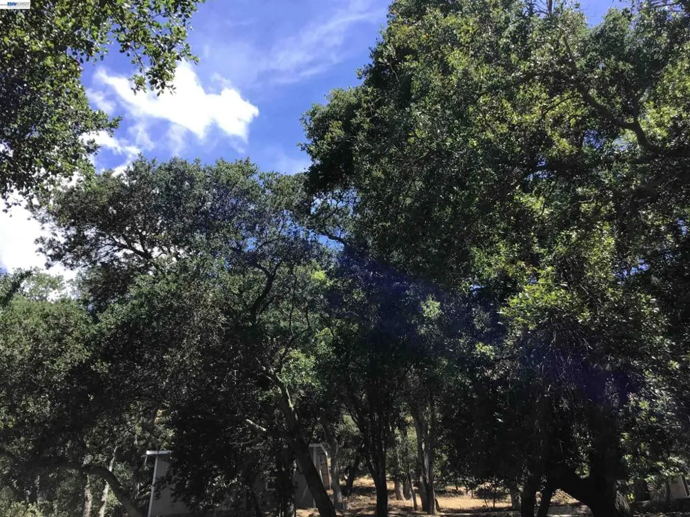 1929 Kilkare Road Sunol, CA 94586