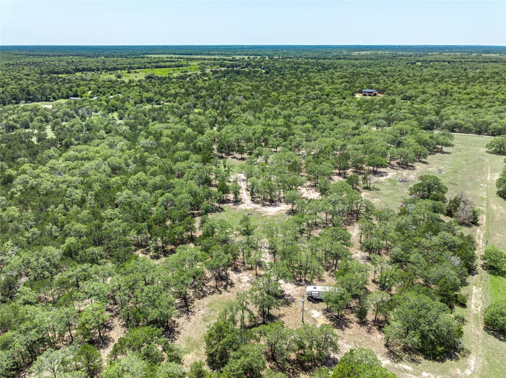 4638 Red Hollow Lane Lane Smithville, TX 78957