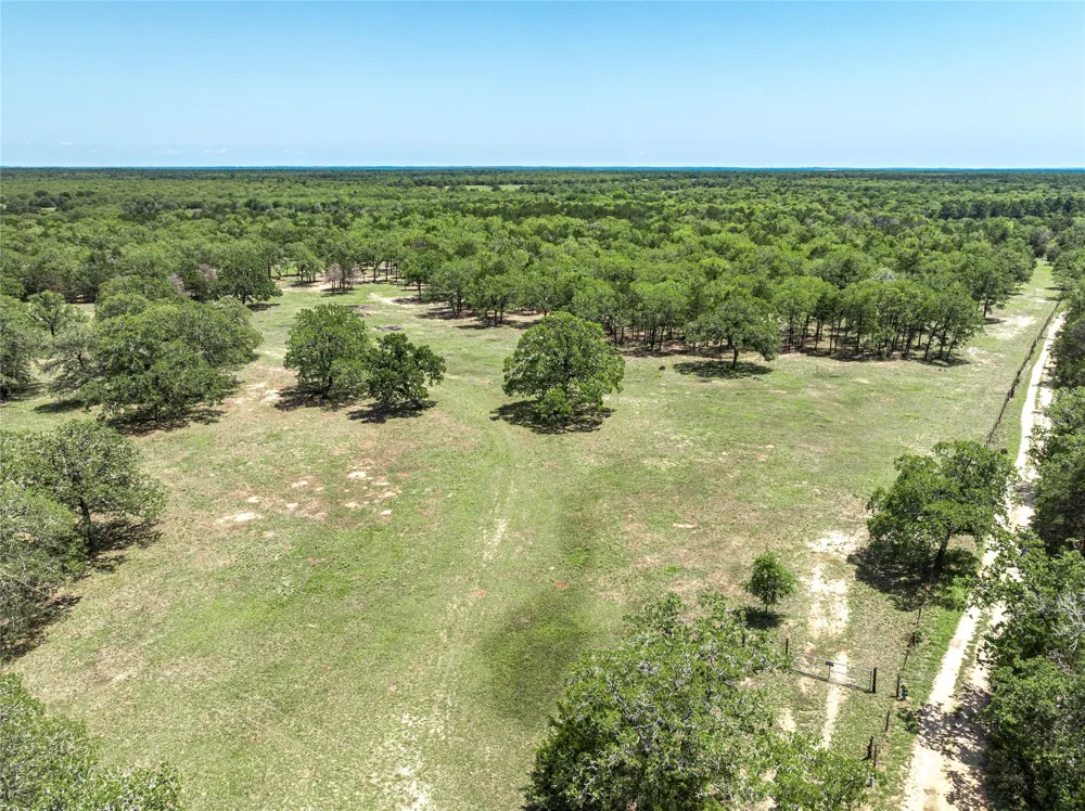 4638 Red Hollow Lane Lane Smithville, TX 78957