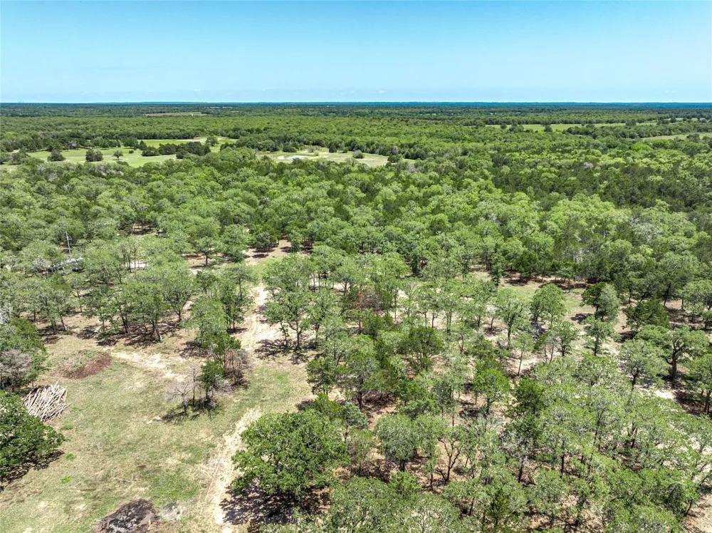 4638 Red Hollow Lane Lane Smithville, TX 78957