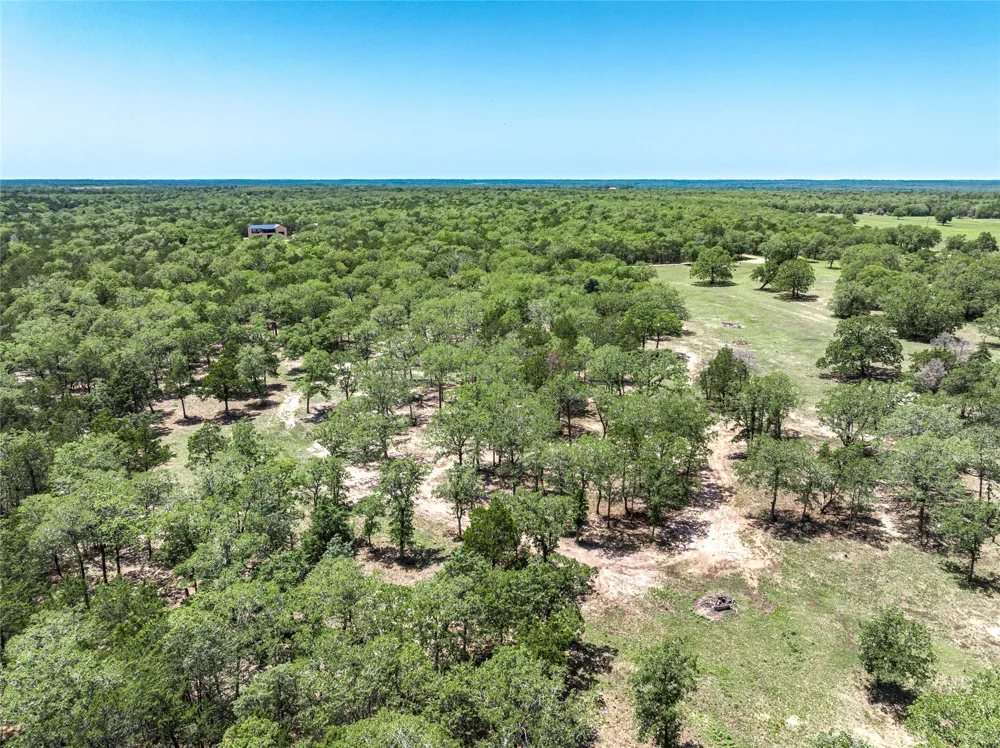 4638 Red Hollow Lane Lane Smithville, TX 78957