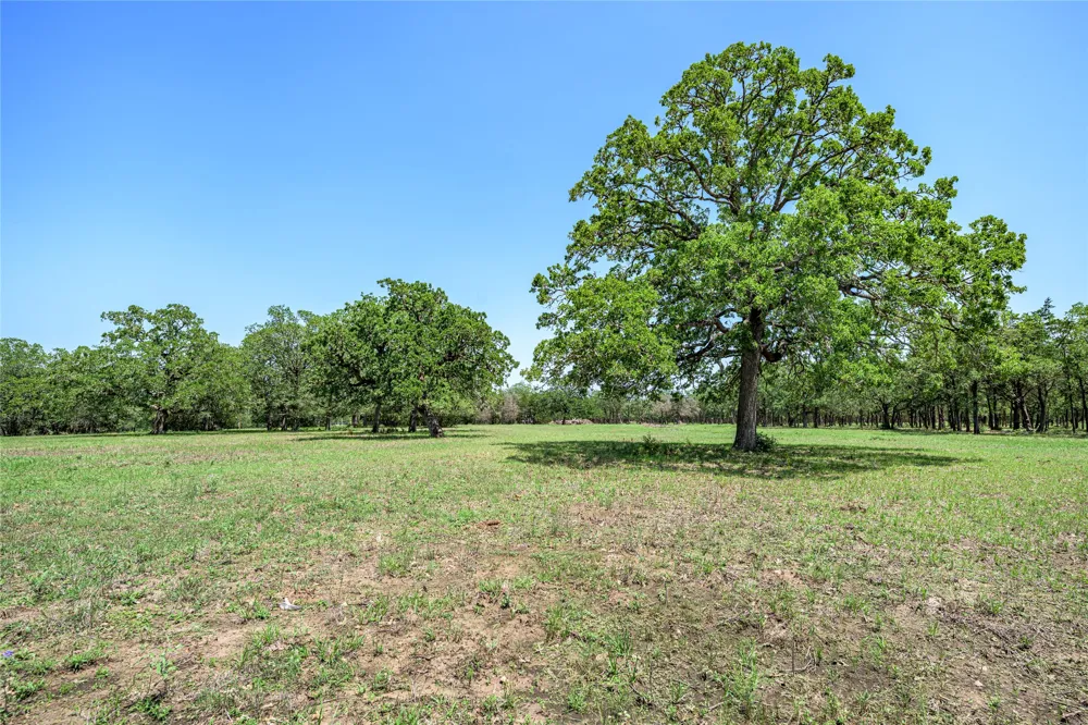 4638 Red Hollow Lane Lane Smithville, TX 78957