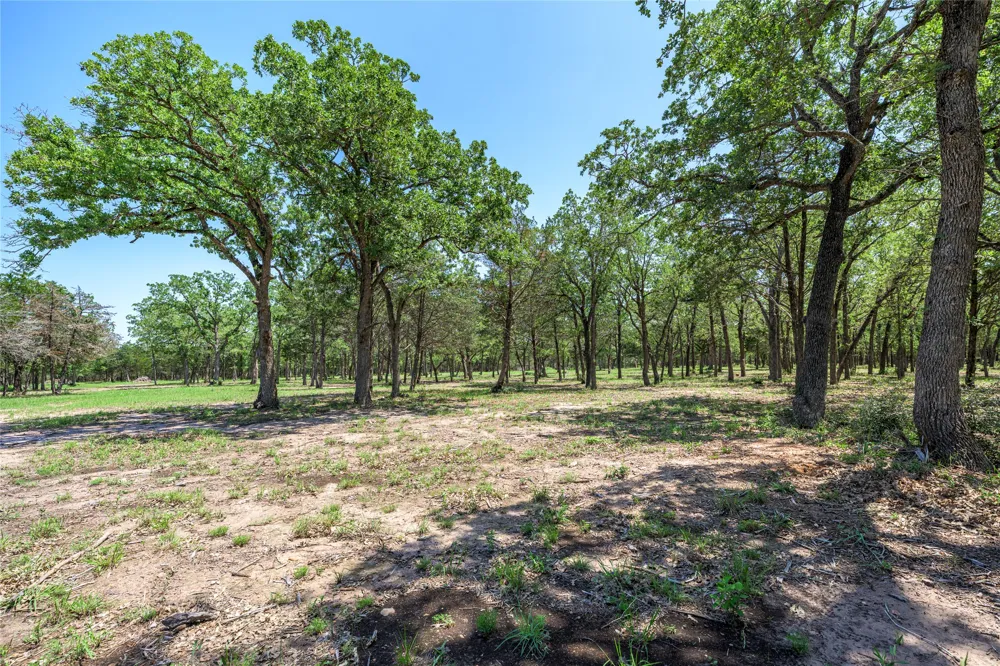 4638 Red Hollow Lane Lane Smithville, TX 78957