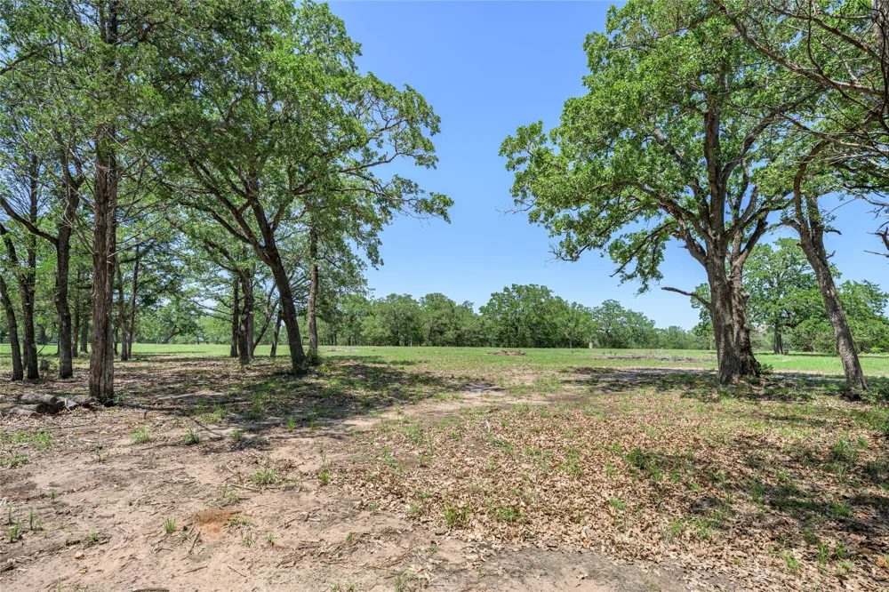 4638 Red Hollow Lane Lane Smithville, TX 78957