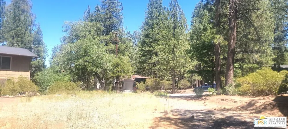 774 St Moritz Drive Big Bear, CA 92315
