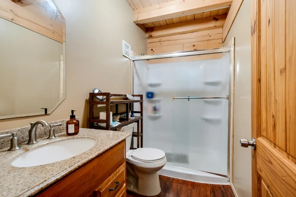 4484 Beech Nut Ct Pegram, TN 37143