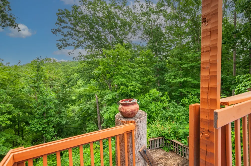 4484 Beech Nut Ct Pegram, TN 37143