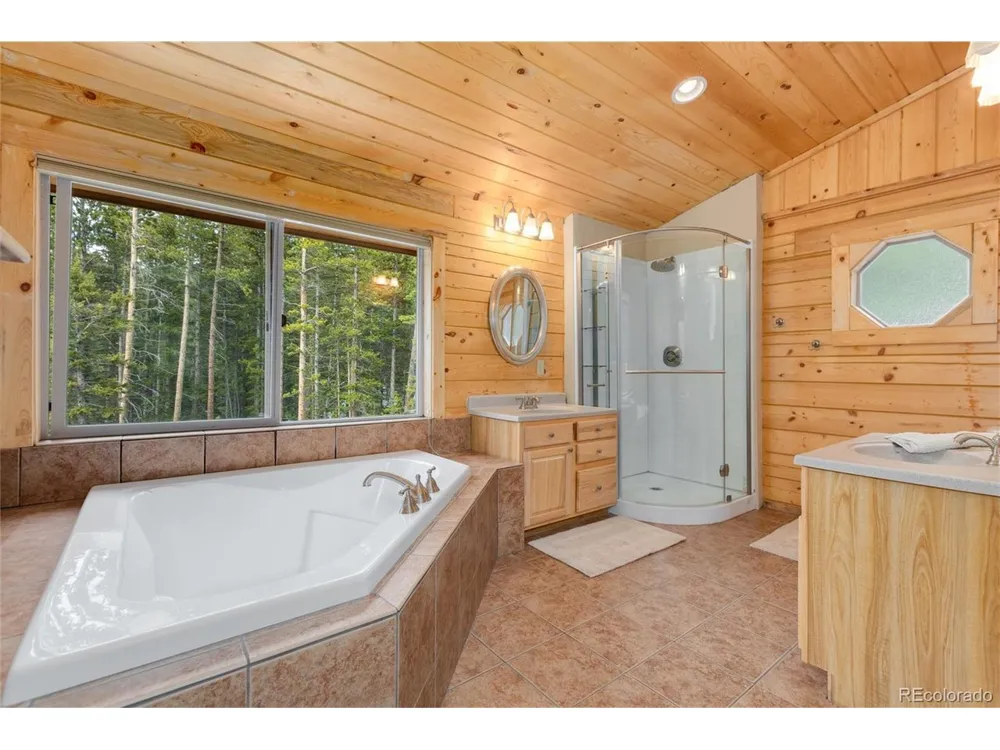 696 Brook Drive Idaho Springs, CO 80452